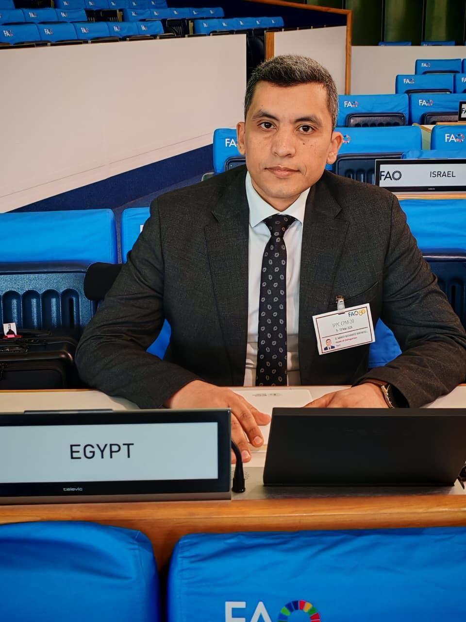 الحجر