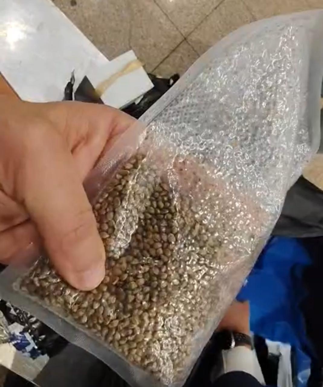 بزور الموت