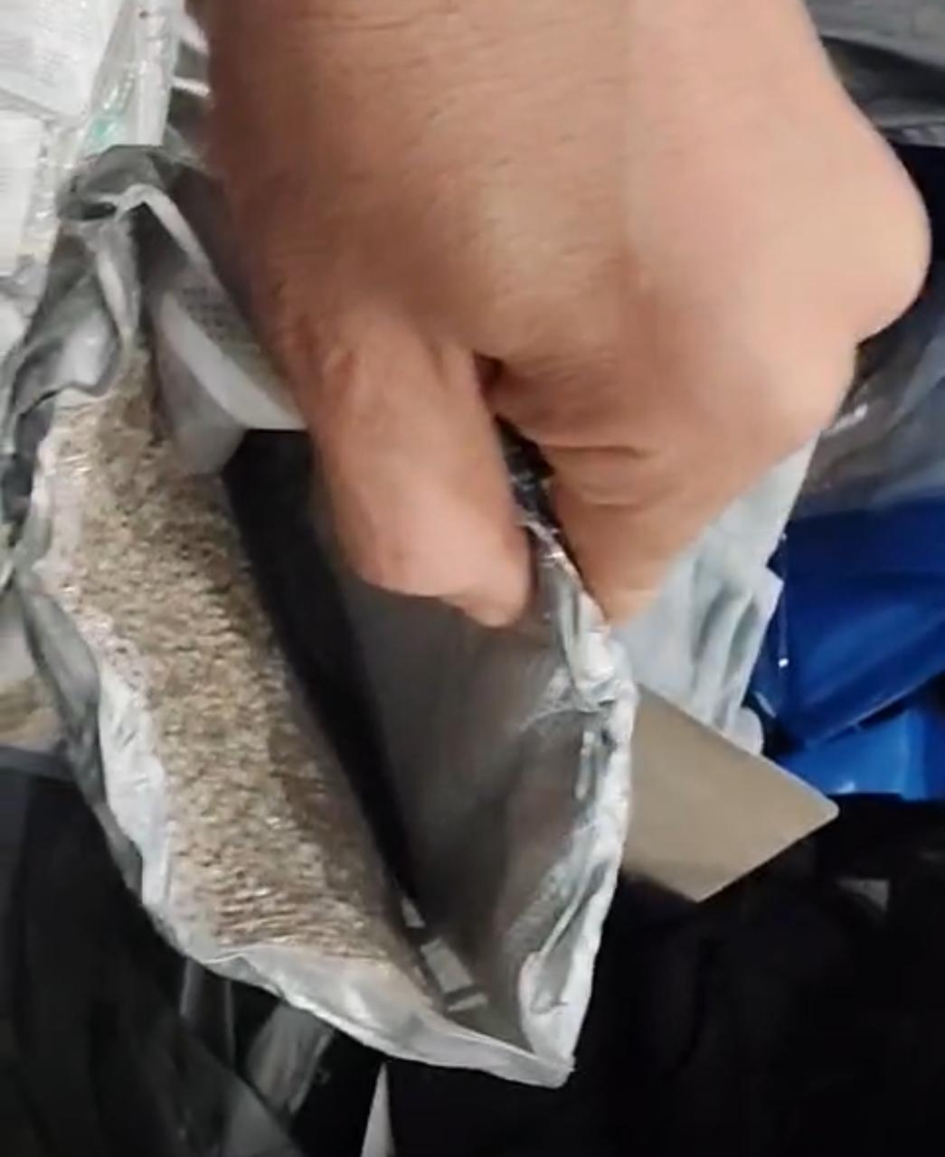 بزور الموت