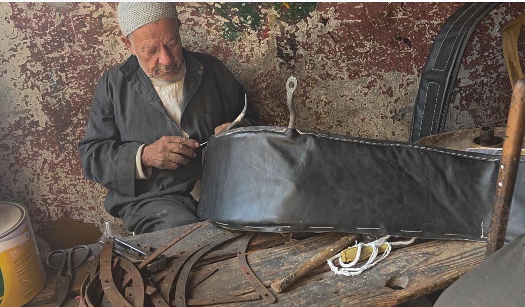  صناعة الحنطور تصارع النسيان في الغربية