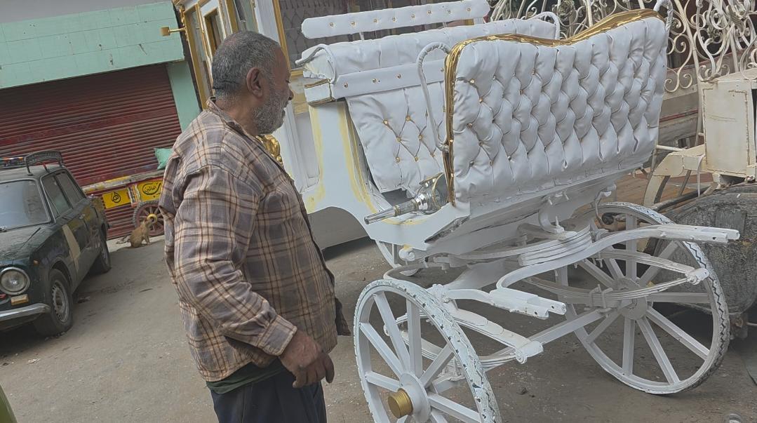  صناعة الحنطور تصارع النسيان في الغربية
