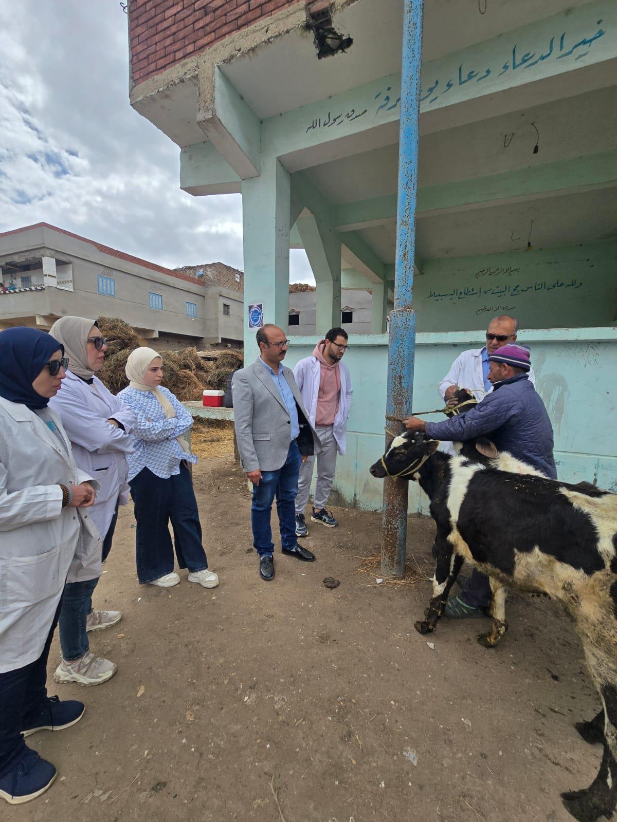 قوافل بيطرية مجانية تجوب قرى الدقهلية.. وعلاج مئات الحيوانات في يوم واحد