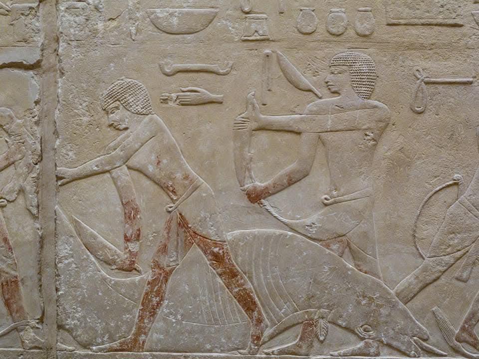 طقوس مقدسة جمعت بين العقيدة والرحمة والتكافل    