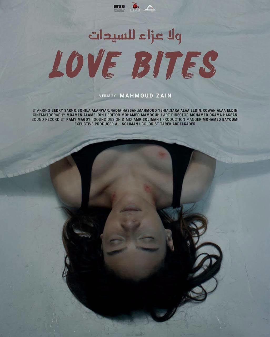 السبت المقبل..المركز القومي للسينما يقيم فعاليات نادي السينما المستقلة بالقاهرة 