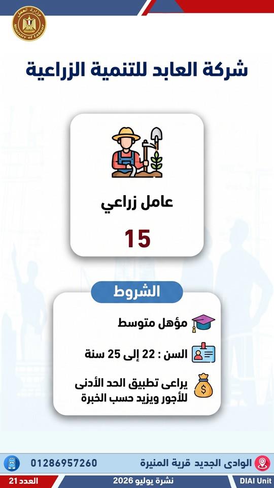 2024 فرصة عمل جديدة في 55 شركة خاصة بـ 12 محافظة .. التفاصيل والشروط