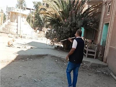 مواصلة حملات تحصين الكلاب الحرة للحد من الأمراض المشتركة بأسوان 