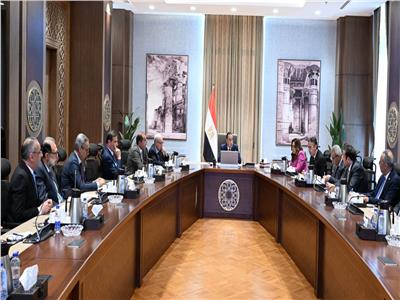 «مدبولي» يستعرض خطوات إعداد برنامج وطني يستهدف استقرار أسعار السلع