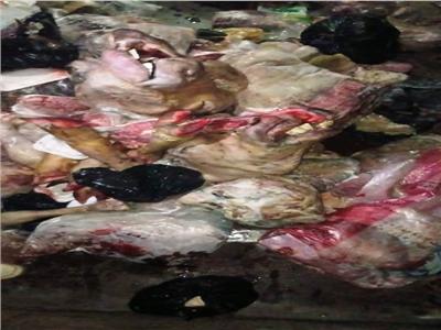 ضبط طن لحوم وأحشاء غير صالحة للاستهلاك الآدمي بسوهاج 
