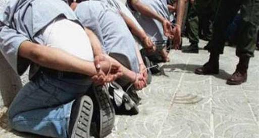 6 ابريل المنوفية تهنئ المصريين بثورة يوليو