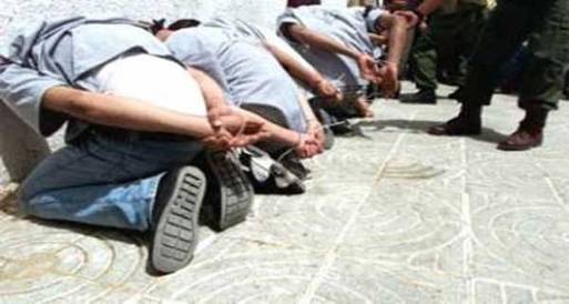 ضبط 486 هاربا من أحكام في حملة أمنية بالغربية