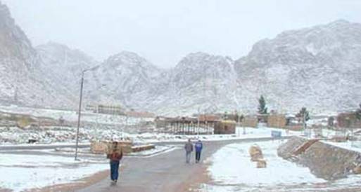 السيول تنعش الحياة البرية بمحميات سانت كاترين