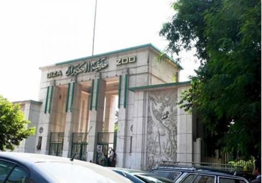 صورة موضوعية