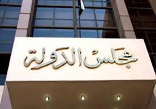 القضاء الإداري 