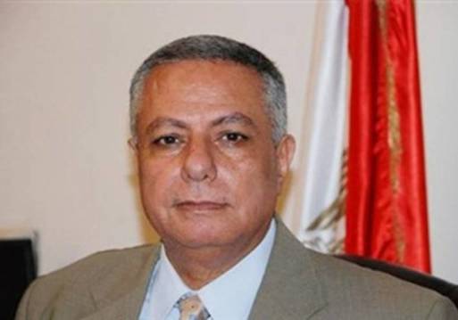 د. محمود أبو النصر