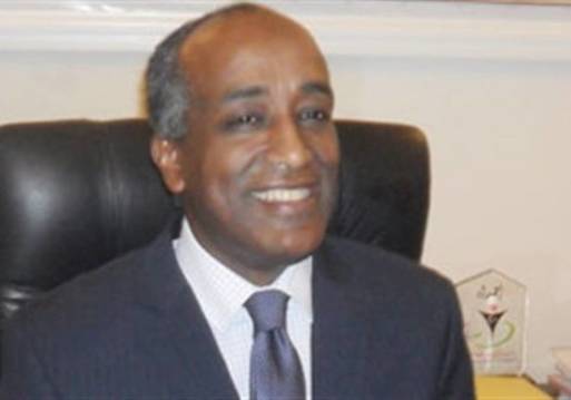 المتحدث الرسمي للخارجية الليبي سعيد الاسود