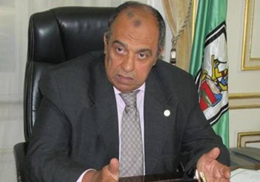الدكتور عز الدين أبو ستيت، نائب رئيس جامعة القاهرة،