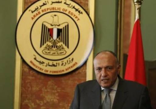 سامح شكري وزير الخارجية