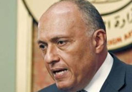 وزير الخارجية سامح شكري