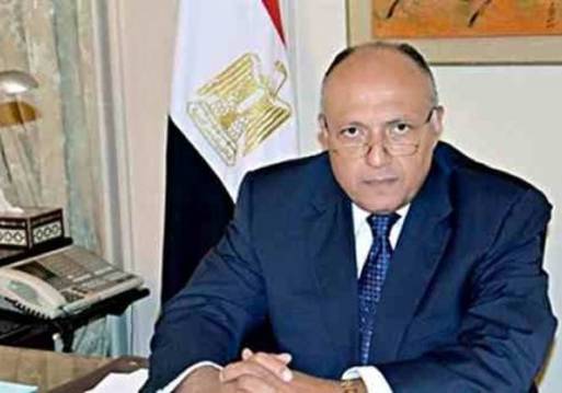 وزير الخارجية سامح شكري