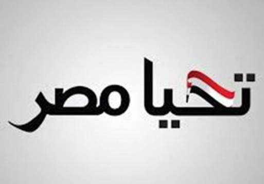 صندوق تحيا مصر