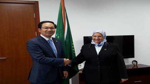 د. إلهام إبراهيم، مفوض البنية التحتية والطاقة بالاتحاد الأفريقي