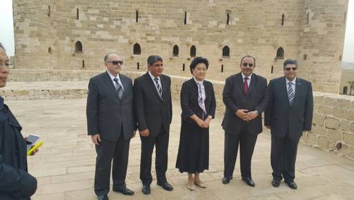 ليو يان دونغ نائب رئيس الوزراء الصينى 