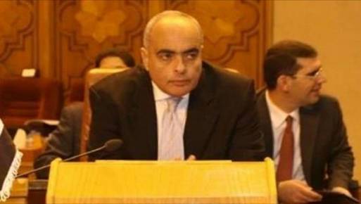 السفير عمرو أبو العطا 
