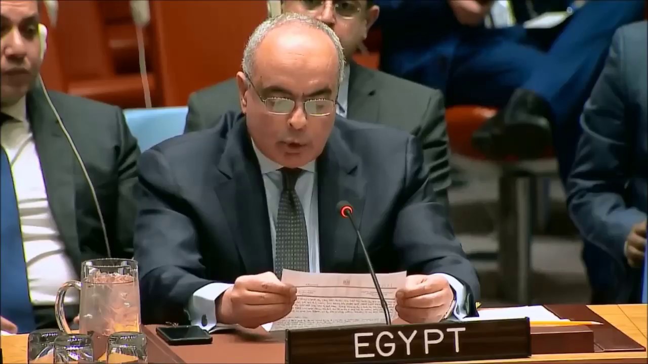 السفير عمرو أبو العطا