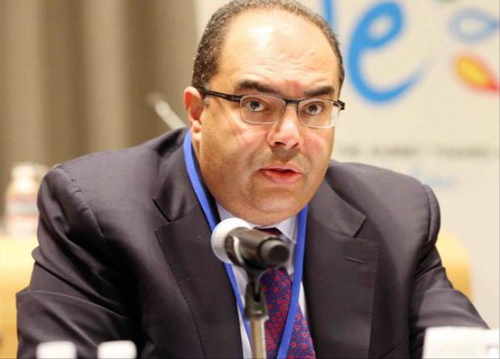 د. محمود محيي الدين النائب الأول لرئيس البنك الدولي