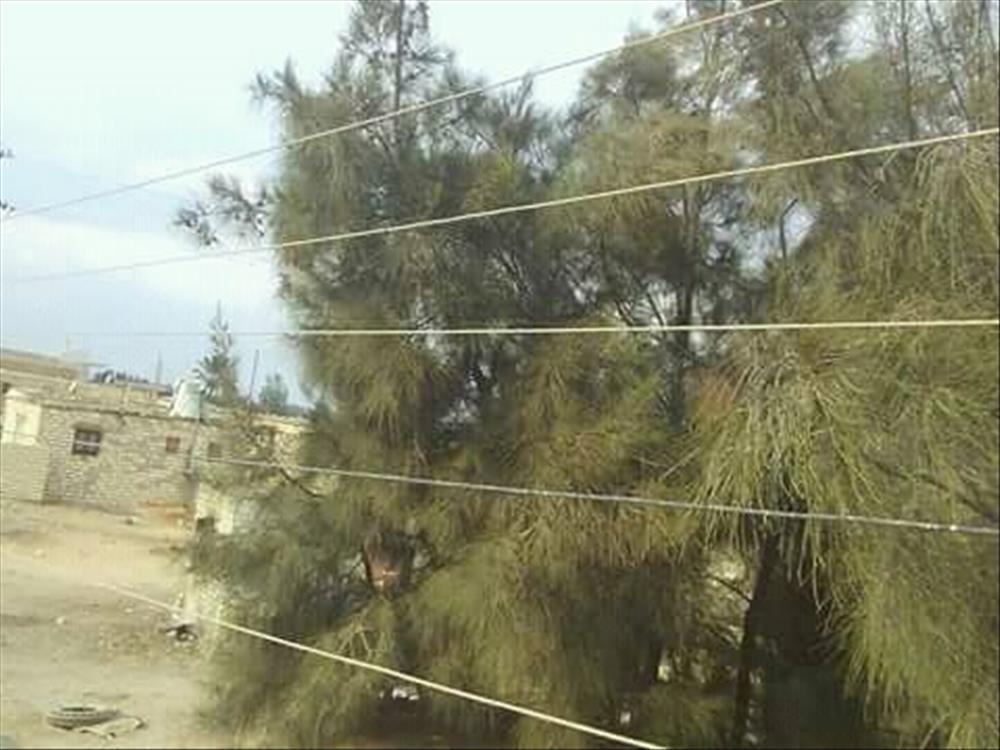 صورة توضح الاسلاك المتهالكة