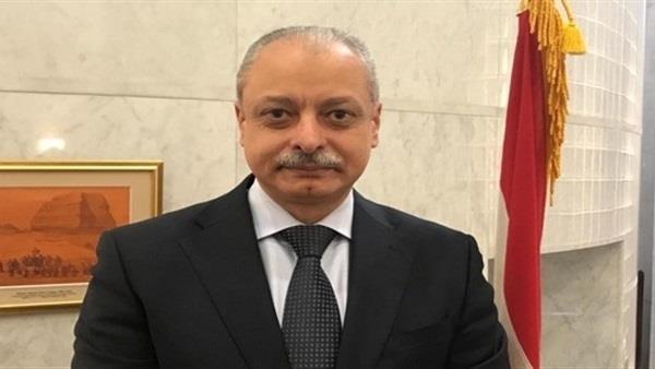 أيمن كامل، سفير مصر فى اليابان