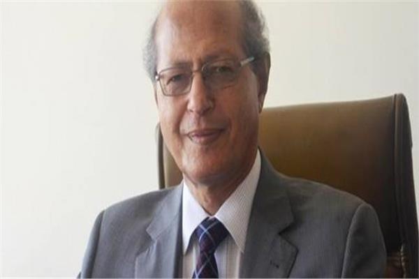 السفير رخا أحمد حسن 