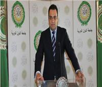 الوزير المفوض محمود عفيفي