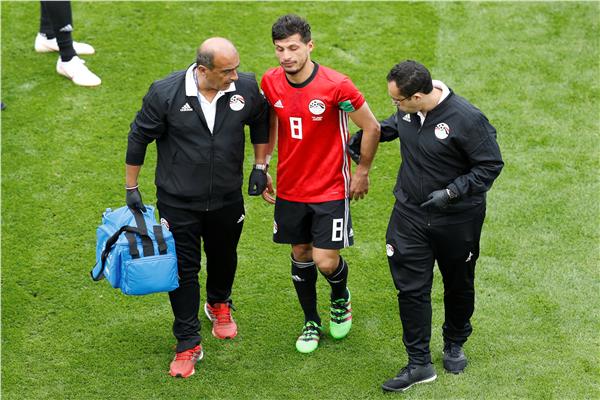 طارق حامد