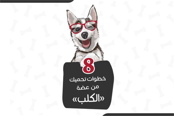 8 خطوات تحميك  من عضة «الكلب»