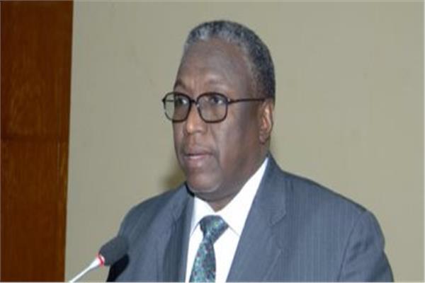  نائب الرئيس السوداني