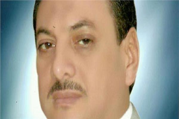 رجب شحاتة رئيس شعبة الأرز