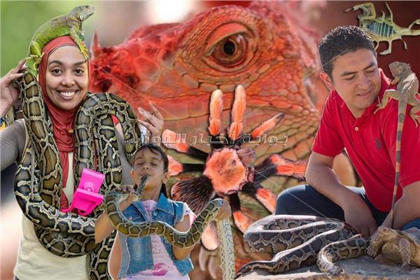 عالم «الزواحف المفترسة» يبوح بأسراره.. كيف ترود «الثعابين والعقارب» دون أن تدلغك
