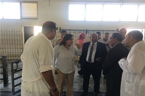 ائب وزير الزراعة تتفقد المجزر الآلي بالإسكندرية
