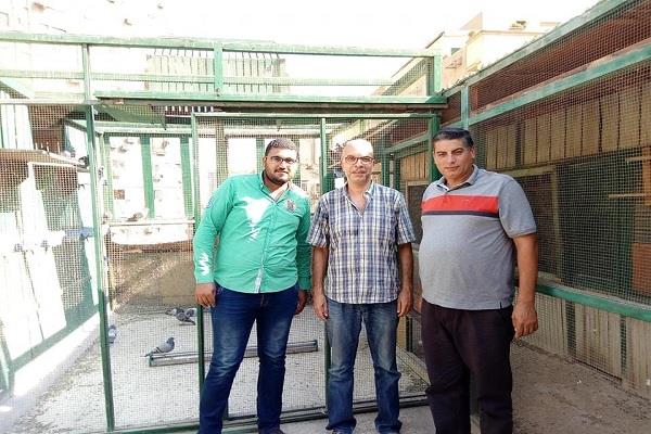 انطلاق أكبر مزاد خيري لبيع الحمام الزاجل لصالح مرضي السرطان 
