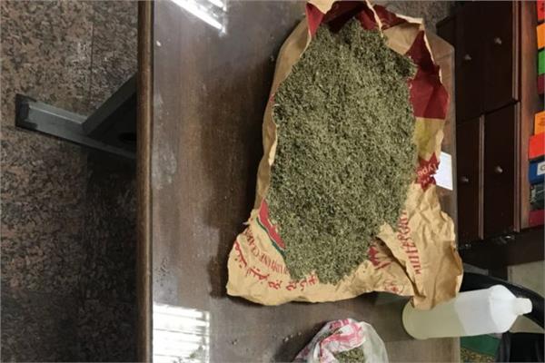 صورة مخدر الفودو