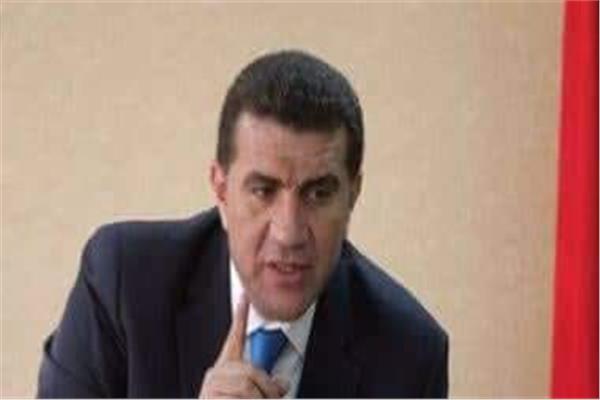 عماد حمدى 