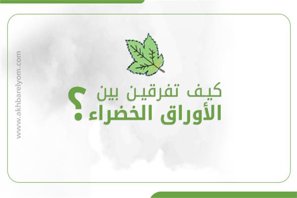  كيف تفرقين بين الأوراق الخضراء