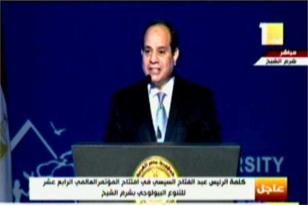 الرئيس السيسي