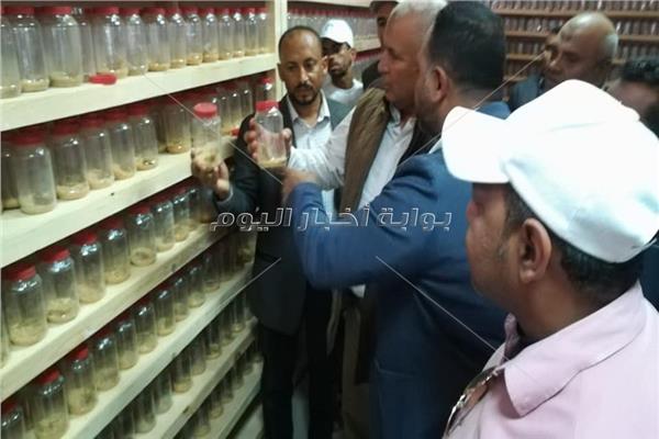 محافظ الوادي الجديد خلال مشاهدة معمل تربيه واستخلاص سم العقرب بمدينة الداخله لاحد الشباب
