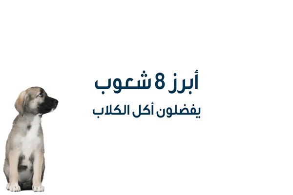 أبرز 8 شعوب يفضلون أكل الكلاب