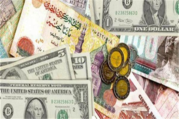 البنك المركزي تراجع سعر الدولار أمام الجنيه المصري بنسبة 1 4