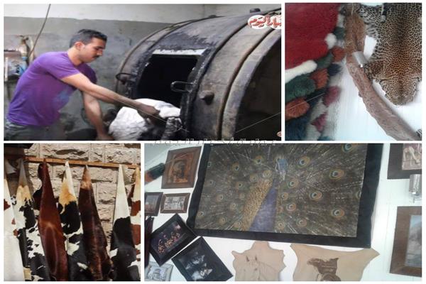 دباغة الجلود في مهب الريح.. العمال: مصيرنا التشرد ولدينا مطالب للنقل للروبيكي