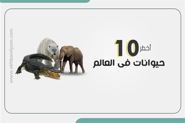 أخطر 10 حيوانات فى العالم 