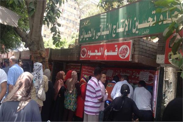 الزراعة تواصل ضخ السلع واللحوم والأسماك بأسعار مخفضة عبر منافذها